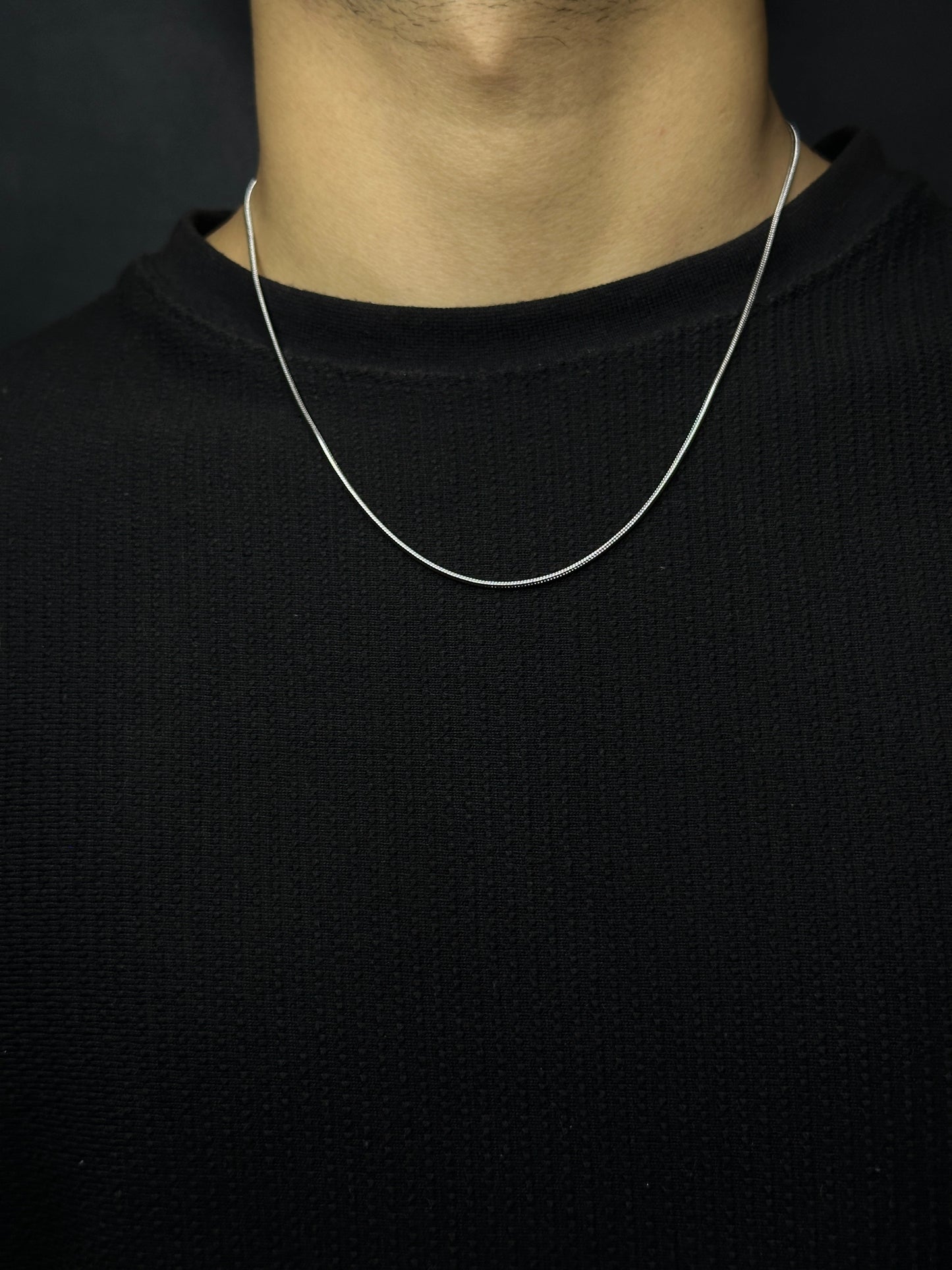 Sleek Thin Snake Chain Zyro
